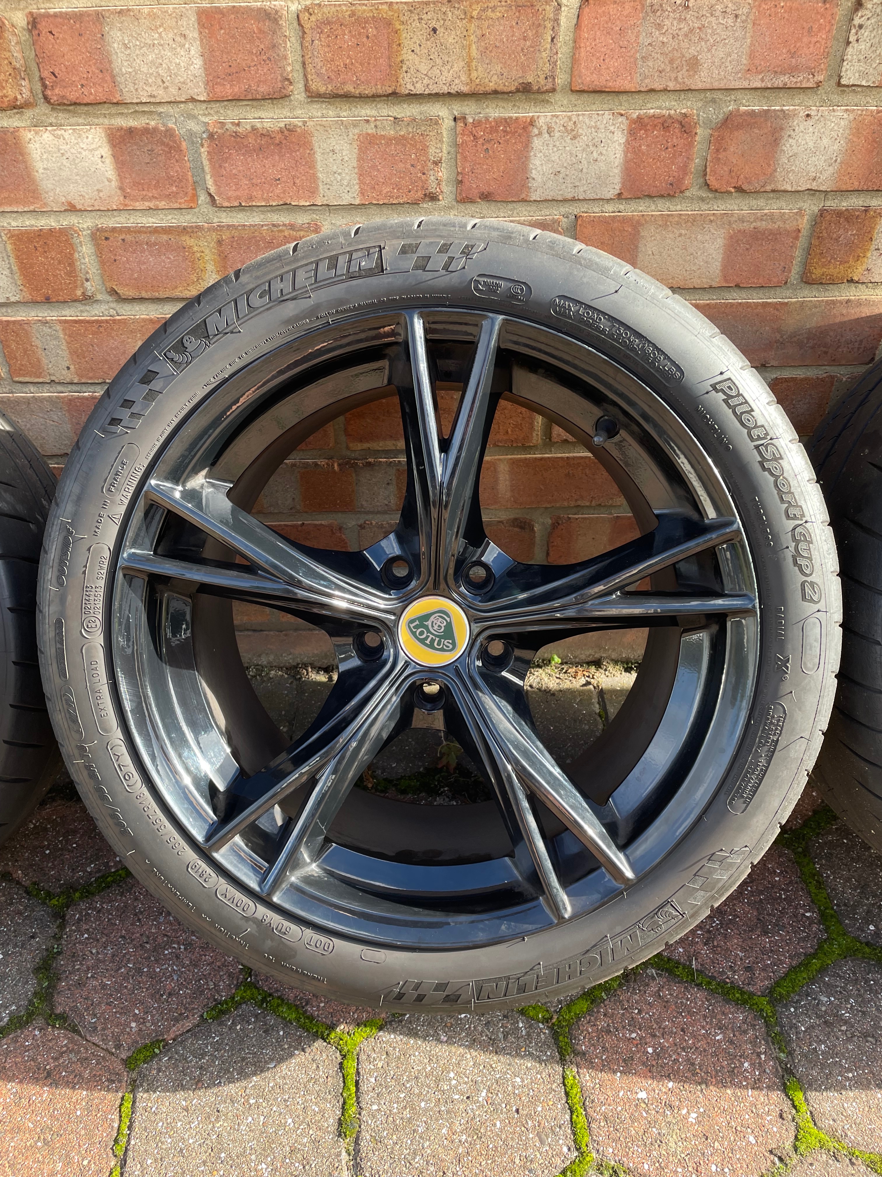 IMG_1119.jpeg