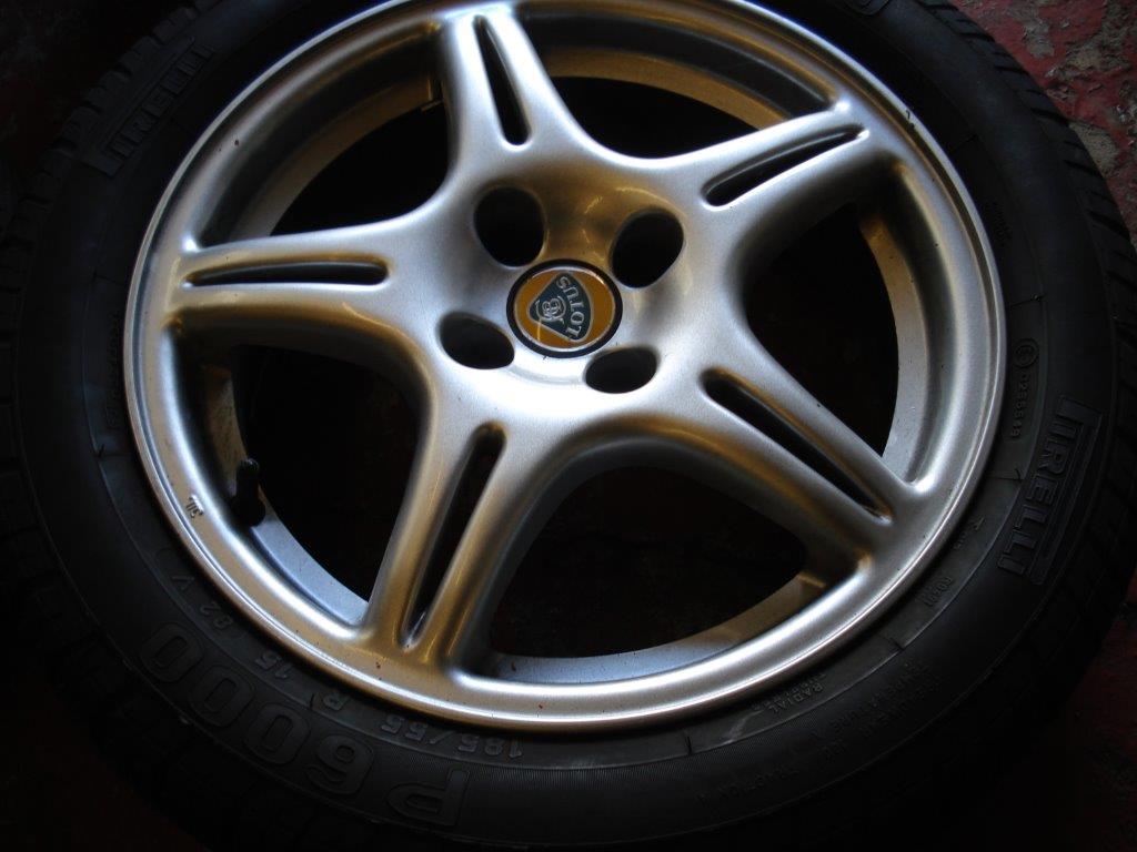 DSC05758.jpg