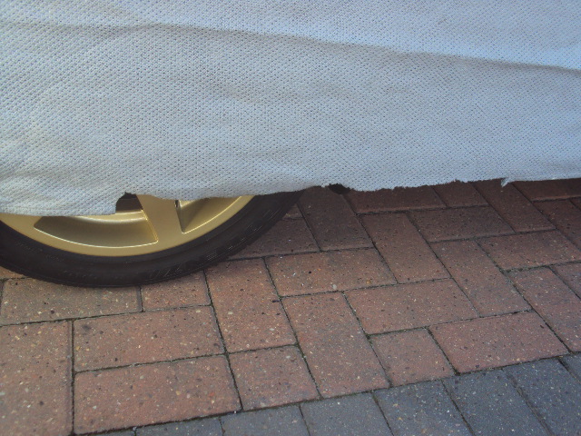 Picture 114.jpg